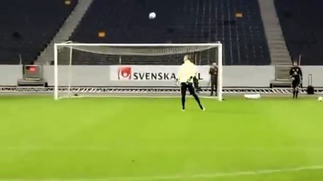 Эркан Зенгин vs Златан Ибрагимович смотреть онлайн