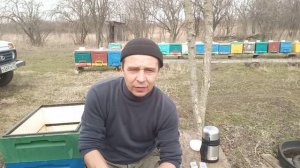 В наличии зимовалые матки