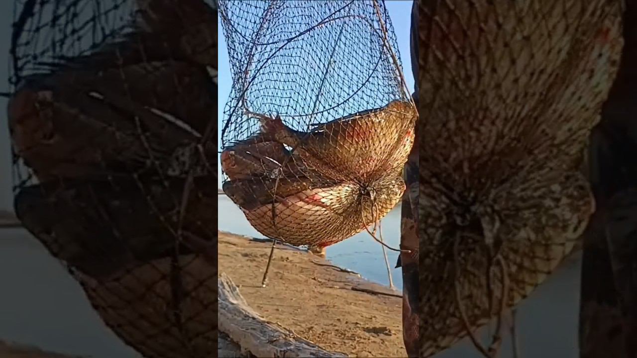 Финал очередной рыбалки. смотреть онлайн