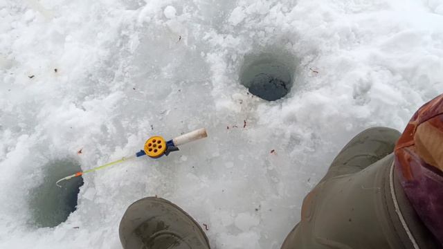 Рыбалка на водохранилище! РЫБЫ ВАГОН! Февраль. смотреть онлайн