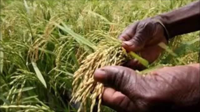Africa part 1 смотреть онлайн