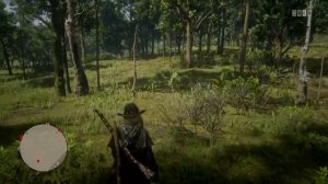 Red Dead Redemption 2 online Лисички и Шалфей Покрывальцев