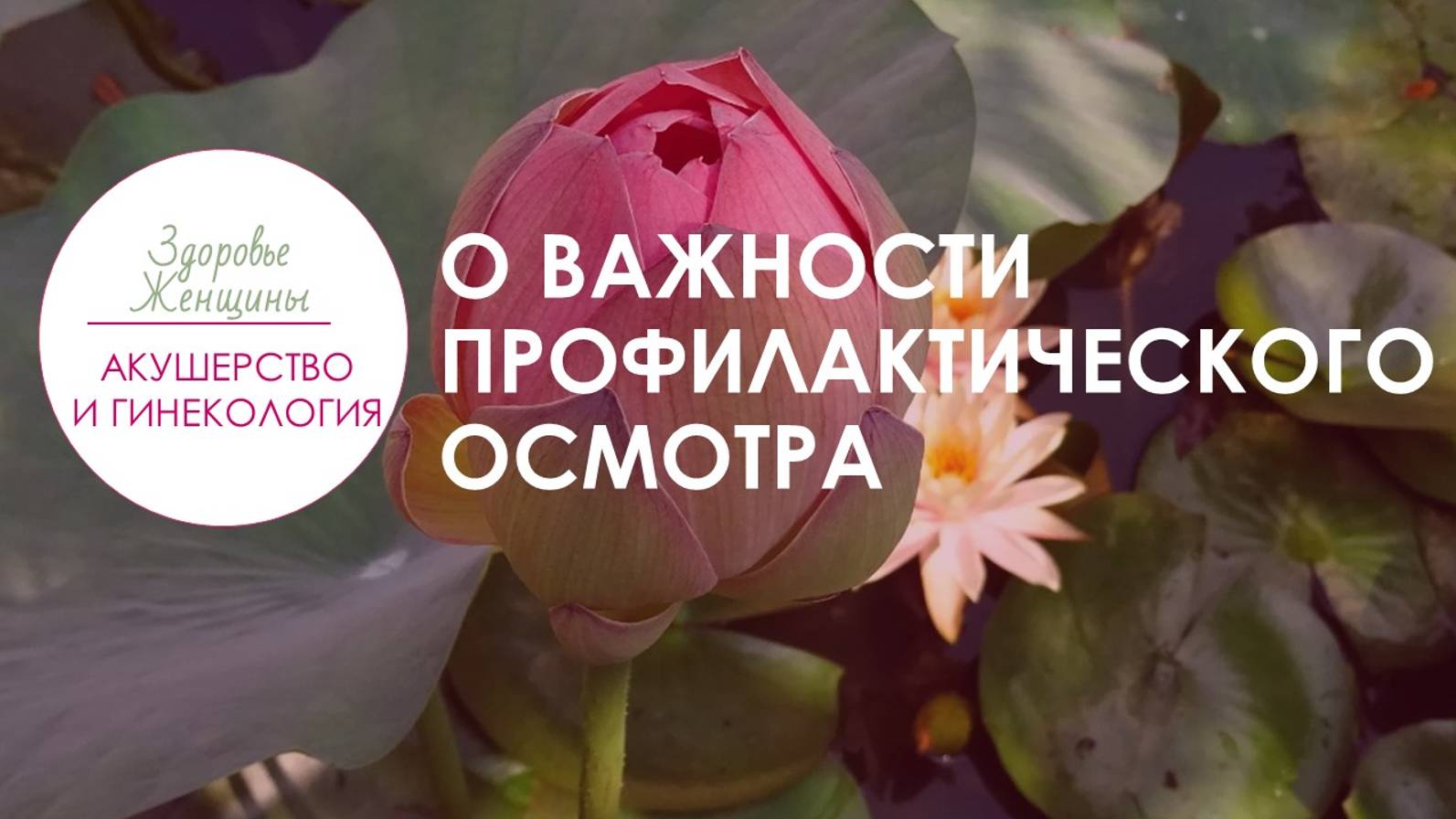О важности профилактического осмотра _ Акушерство и гинекология смотреть онлайн