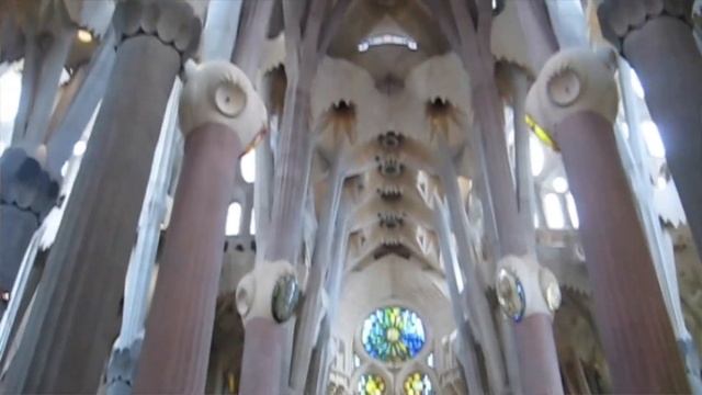 De SAGRADA FAMILIA TOUR (Nederlands) | Insider Tips, Tickets En Rondleidingen