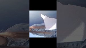 1000001401.mp4ясясвикай