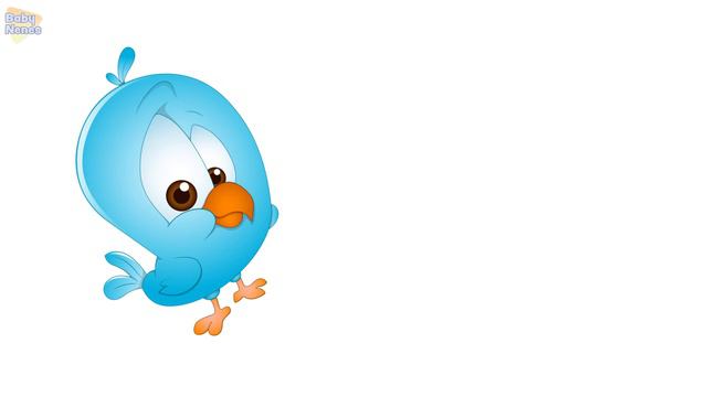 PETS In English For Kids