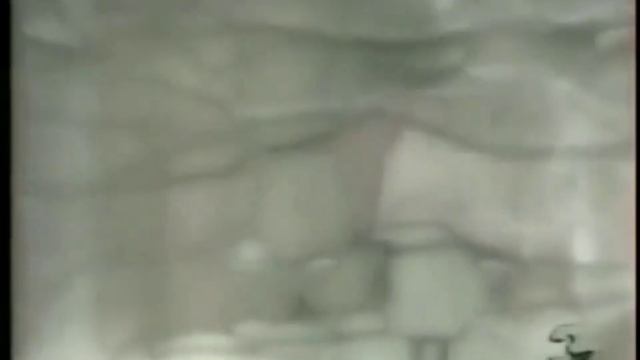 Дуэт Надежды Лозорайтене и Александра Подболотова. Романс "Утро туманное". смотреть онлайн