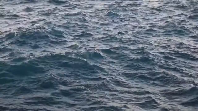 Г.Ф. Лавкрафт | Храм смотреть онлайн