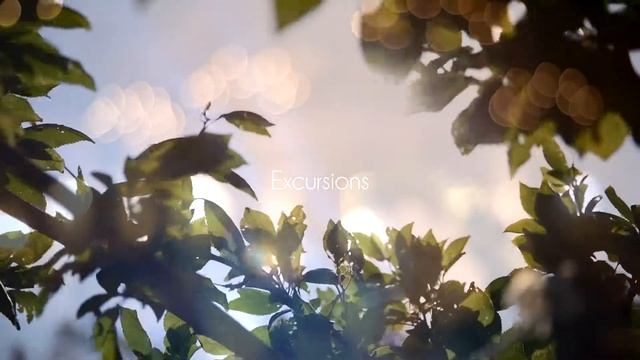 3rd Chios Tango Encuentro - Official Teaser (2019) смотреть онлайн