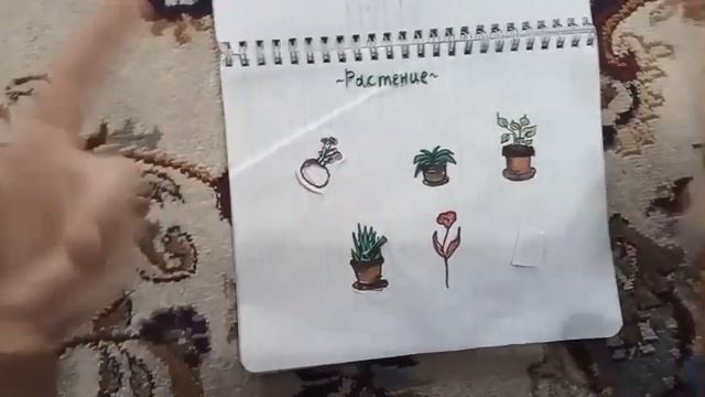 БУМАЖНЫЕ СЮРПРИЗЫ ?