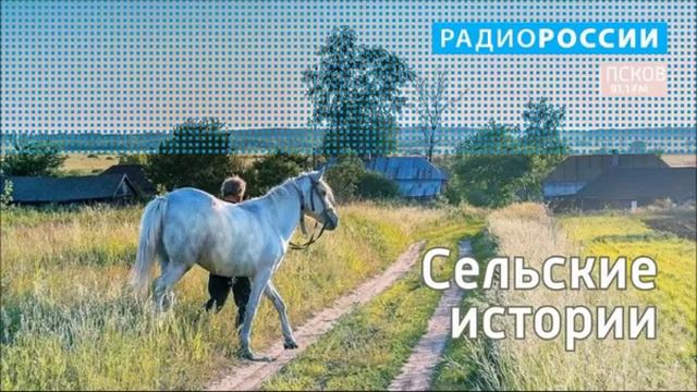 Сельские истории. Деревня Лесицко. Выпуск 03.06.2019 смотреть онлайн