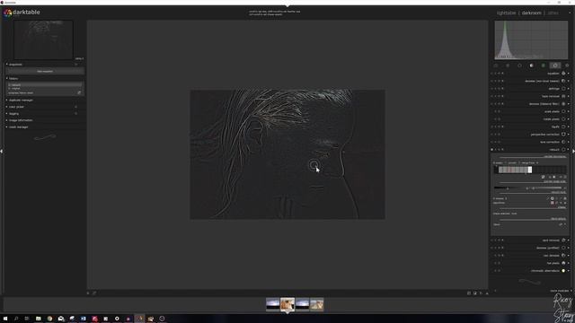 PORTRAIT RETOUCHING in LIGHTROOM a darktable TUTORIAL смотреть онлайн