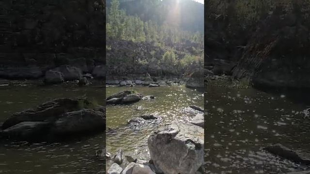 Каменный залив Телецкое озеро. 19.07.2021. смотреть онлайн