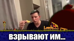 птички летят mzlff (1 час)
