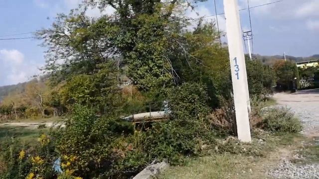 Эти ягоды абхазские хозяйки кладут в соления. Цвет они дают красивый, но это яд смотреть онлайн