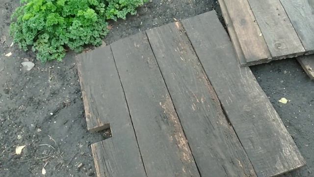 как укрываем виноград смотреть онлайн