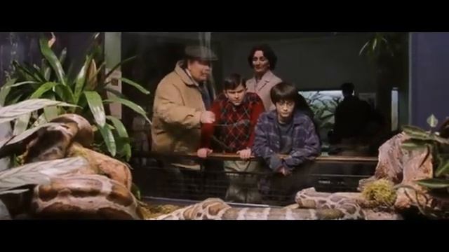 Учим Английский Язык с Гарри Поттером🦉. 41-45 карточки. Дадли заставляет ползти змею в зоопарке. смотреть онлайн