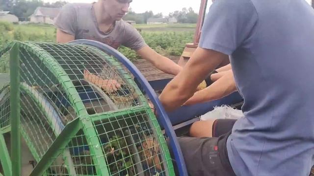 самодельный картофелеуборочный комбайн