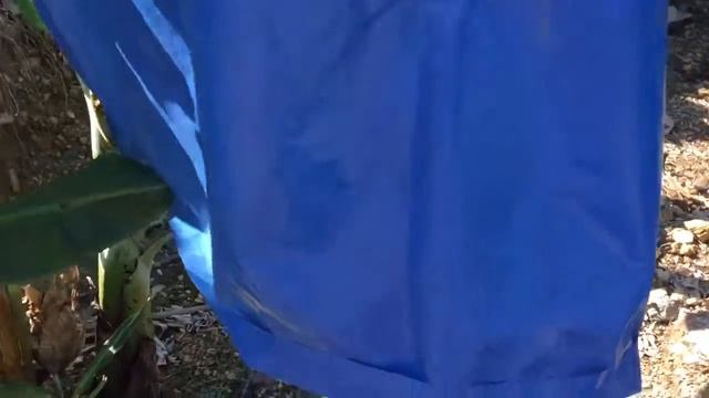 Как выращивают бананы в Турции смотреть онлайн