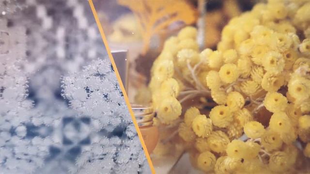 L'Occitane : Crème Divine Immortelle смотреть онлайн