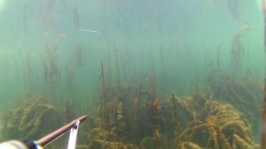 Подводная охота зимой