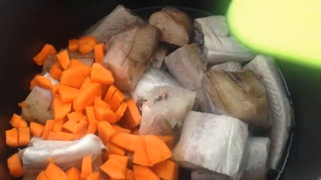 Цирковые Представления и Шоу