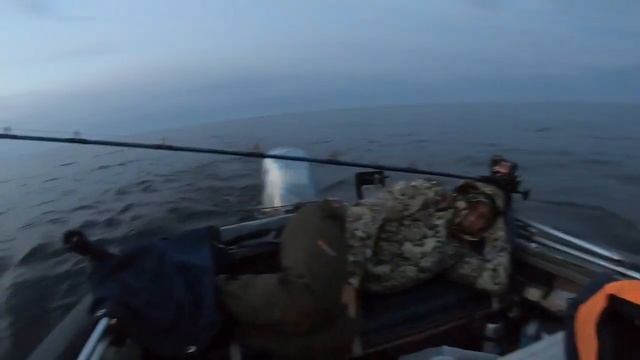 Рыбалка на Судака. Ладога. Креницы база Горизонт. судак ладога щука окунь рыбалка2023