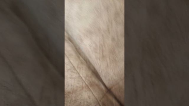 Дядя Фёдор пёс и кот глава первая«Дядя Фёдор»часть 2 смотреть онлайн