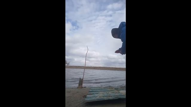 Бешеный клёв воблы. Весенняя рыбалка. смотреть онлайн