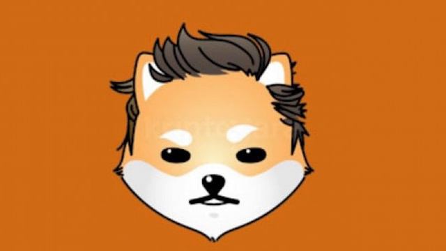 Подорожал на 50 000%! Токен Dogelon Mars порвал, самый большой фейл в истории крипты. И такое бывае смотреть онлайн