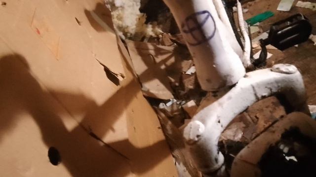 12 ноября 2023 г. смотреть онлайн