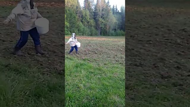 Посевная! Сеем овёс и клевер!!! смотреть онлайн