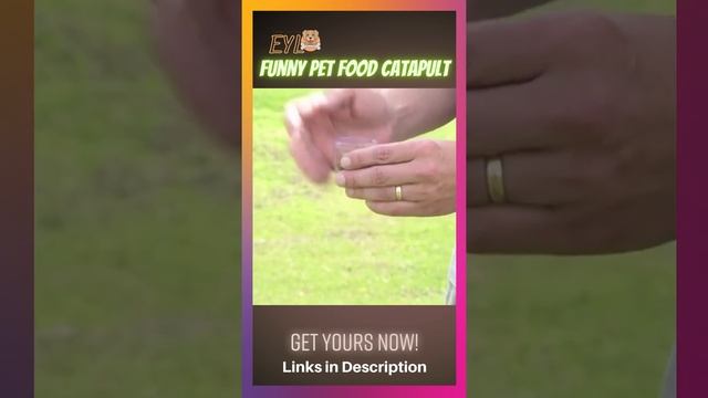 Funny Pet Food Catapult For Dogs and Cats смотреть онлайн