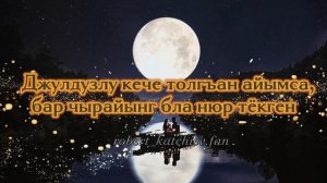 Роберт Катчиев - Толгъан айым