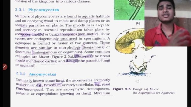 Kingdom Fungi NEET || biological classification || biology revision for NEET 2020 смотреть онлайн