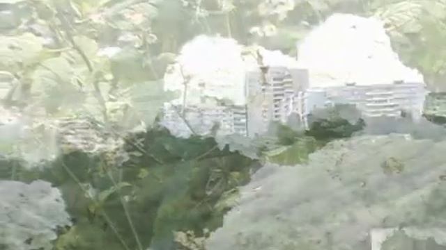 Экология Запорожстали смотреть онлайн