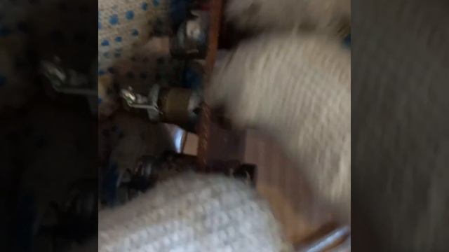 Источник серебра, радиодетали. смотреть онлайн