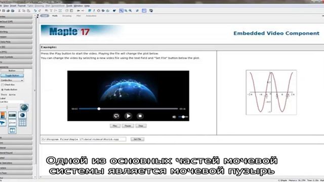 Болят ли почки при цистите смотреть онлайн