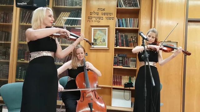 Hallelujah by Leonard Cohen - violins & cello смотреть онлайн