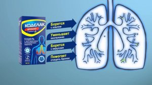 Коделак Бронхо