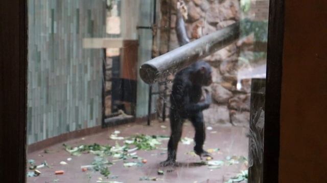 First School Trip Johannesburg Zoo
