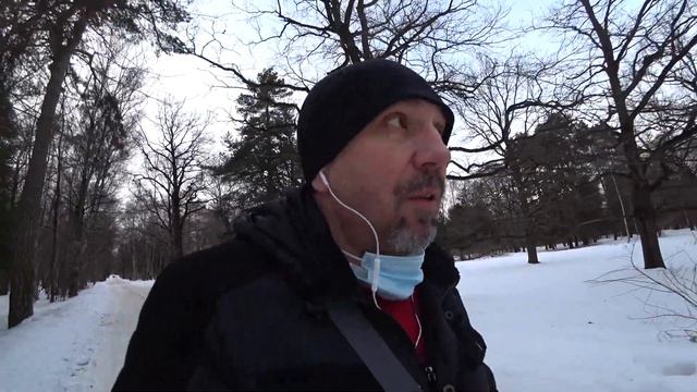 Новое видео каждый день // в дополнение к стриму смотреть онлайн