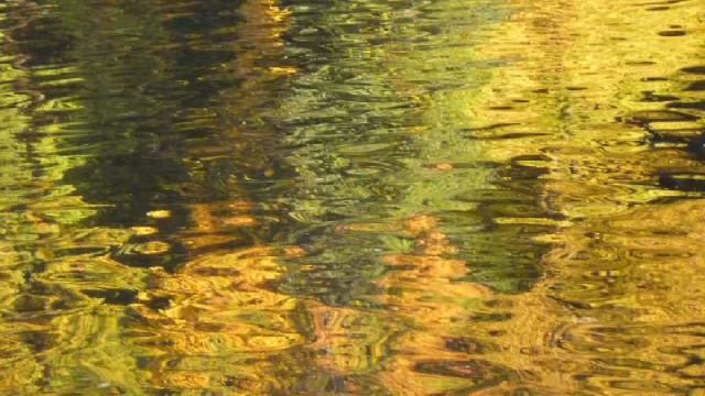 Sonnet 64 - When I Have Seen By Time's Fell Hand Defaced смотреть онлайн