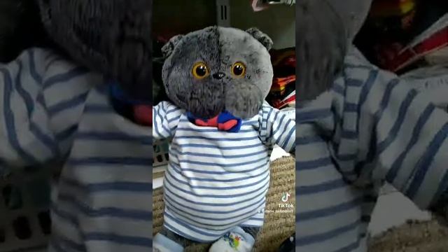 Басик и tik tok смотреть онлайн
