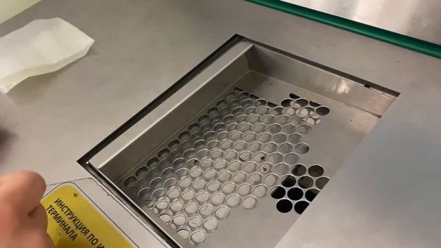 плавали на сапе , голубцы с пекинской капустой,  лечим Дусю.