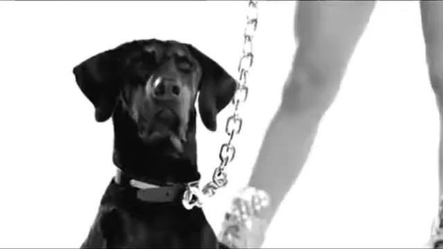 TINCHY STRIDER FEAT TAIO CRUZ-TAKE ME BACK (HD) (OFFICIAL VIDEO)