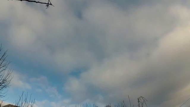 5 тревожных признаков того, что этому человеку нельзя доверять. смотреть онлайн