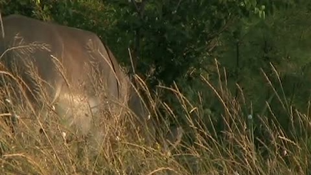 Одесса (Трейлер) (Дмитрий Комиренко) (2010) смотреть онлайн