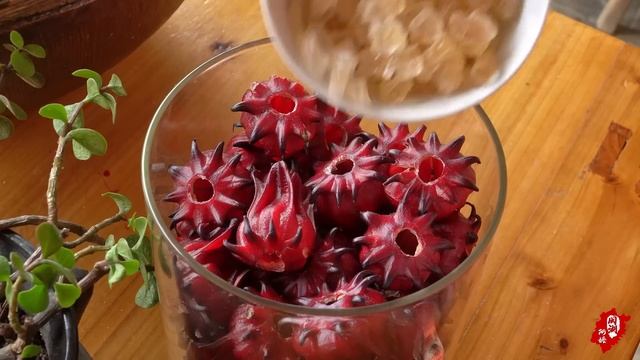 植物界红宝石，神话般美丽的名字，洛神花是红艳酸甜的秋季佳饮｜roselle【 闽湖阿嬤Fujian Grandma】