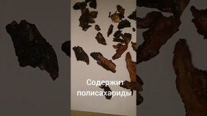 ХЛЕБ ИЗ СОСНОВОЙ КОРЫ.